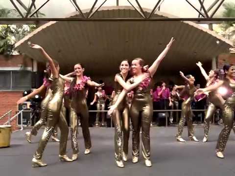 Gaitas SLC San Luis 2014