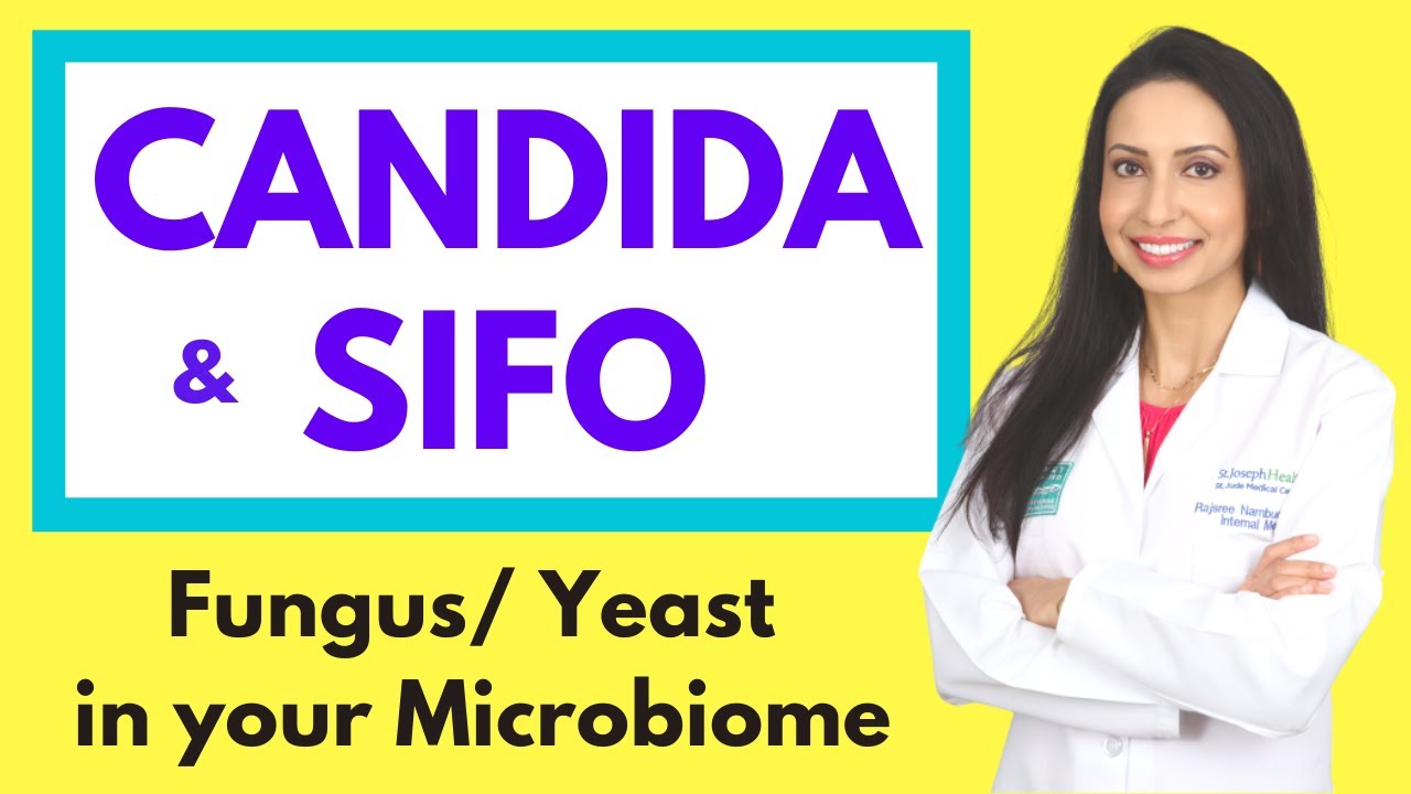 Understanding Candida & SIFO: Causes, Symptoms, and Treatment ๐ฆ