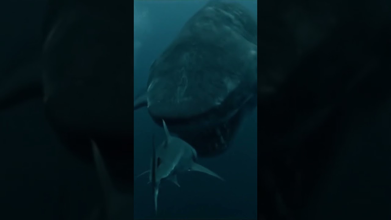 Megalodon vs Shark 😱 The Return of Nature’s Most Brutal Predator