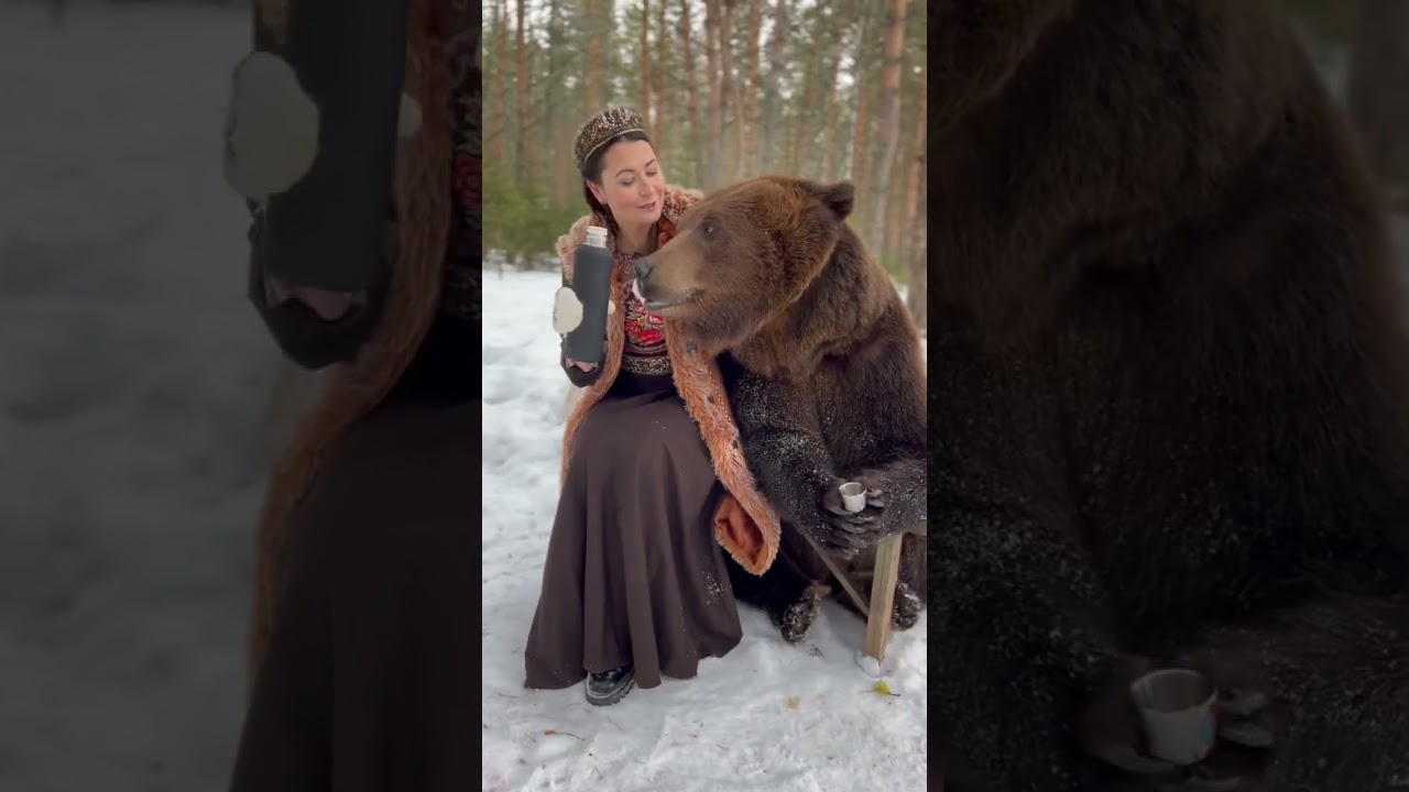 Томик наслаждается чаем и встречает медведя 🐻