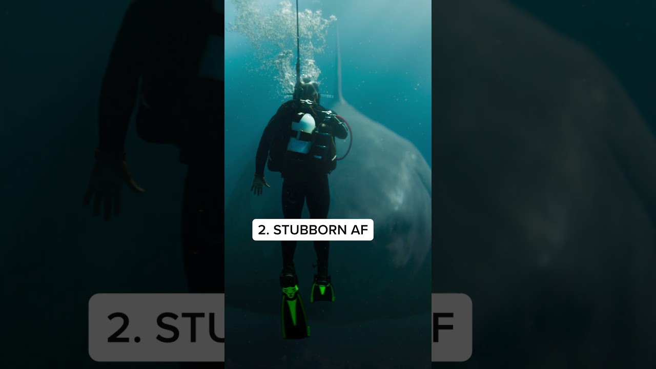 The Meg 2 | The Meg's Astrological Sign | Trailer Spot