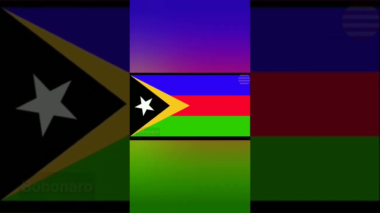 Flags & Divisions of Timor-Leste ๐น๐ฑ