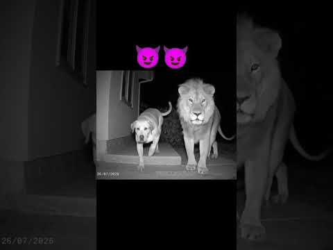 lage mafia ☠️#edit #shorts#mafia #gamtng