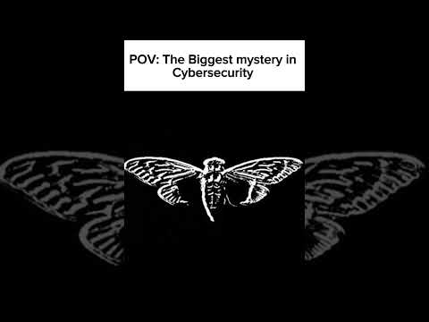 the biggest mystery in cyber security