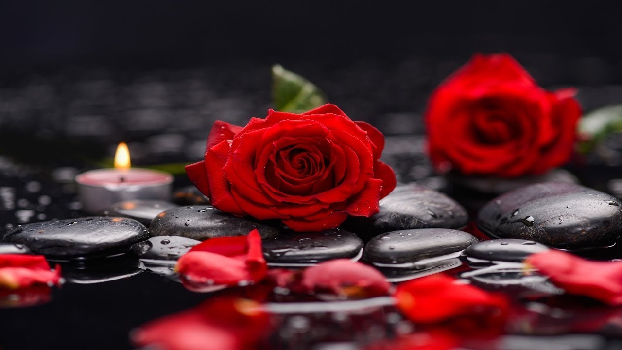 9 Hours of Relaxing Sleep Music 🎶