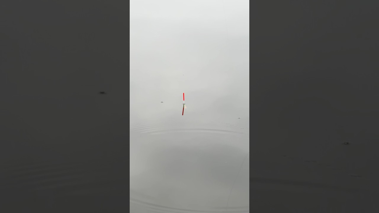 Ловля карася! 🎣 #рыбалка #карась