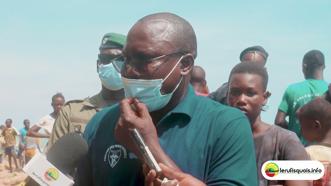 Rufisque-Est : Une baleine échouée à Keury Kao