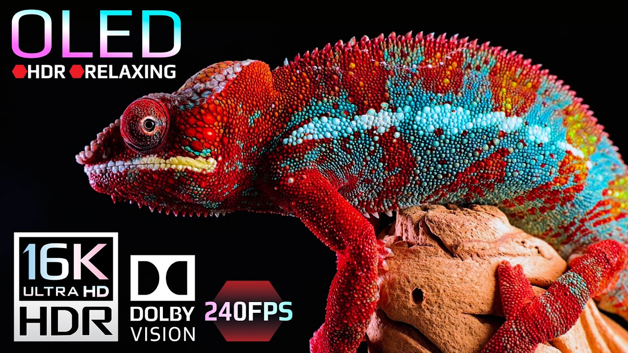 ULTRA Black OLED HDR Test | 16K HDR 240fps Dolby Vision (8K OLED & 4K TV Test)
