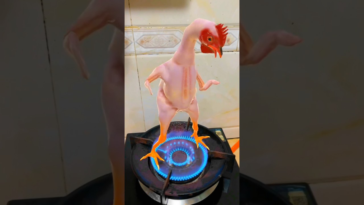 New Chicken Song DJ Remix π