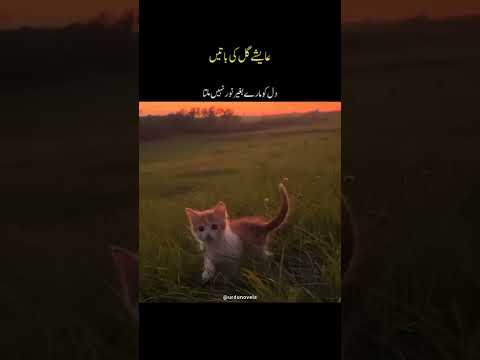 jannat k patty by nimra Ahmad Urdu novels Ayesha gul |Nimra Ahmed #shorts #youtubeshorts #shortvideo