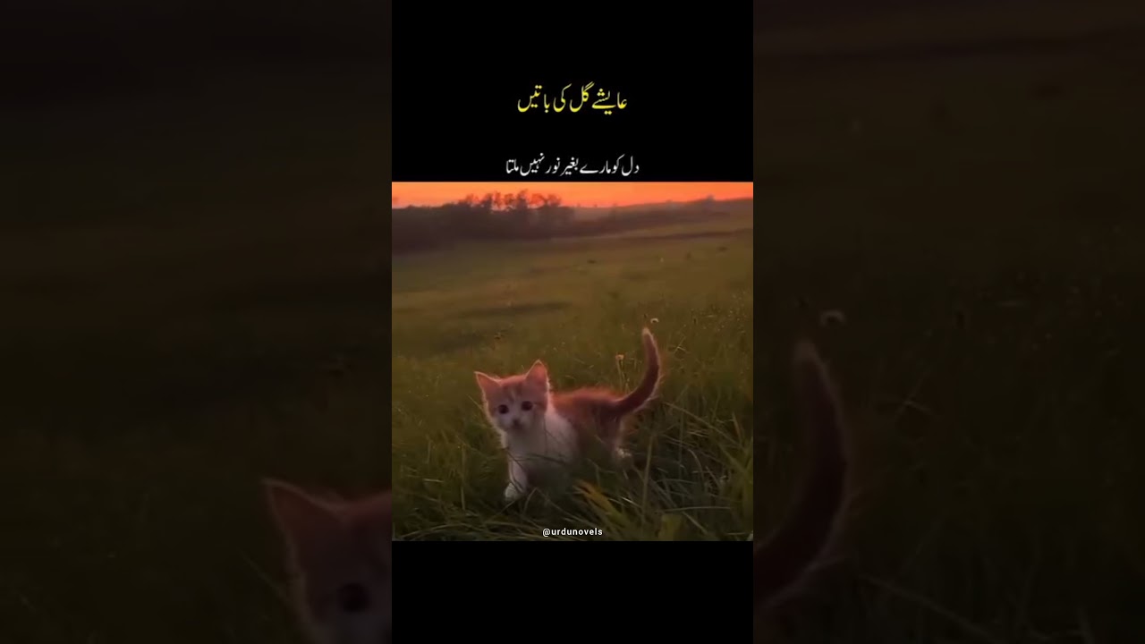 Jannat K Patty by Nimra Ahmad | Urdu Novel 📖