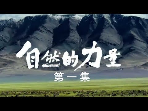 【ENG】《自然的力量》第1集 从世界屋脊到中国谷底 分布在中国不同地方的动物该如何应对自然的挑战?【CCTV纪录】