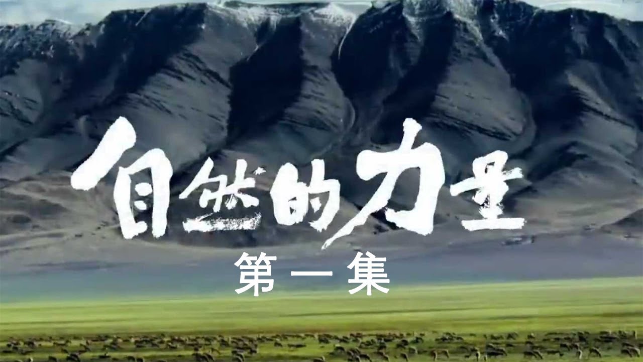 【自然的力量】动物在中国多样环境中的生存挑战🌿