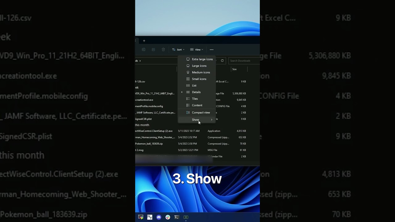 How to Show Hidden Files on Windows 11