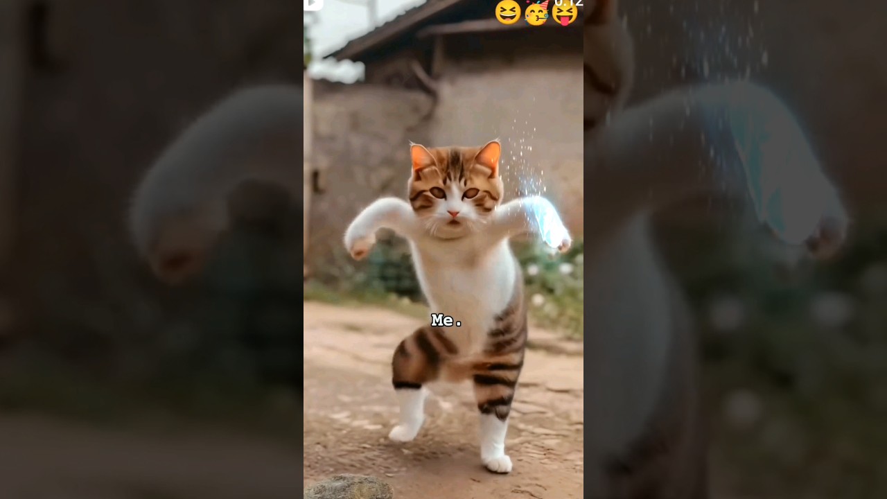 Biye Korbo for Happiness 😊 #Trending