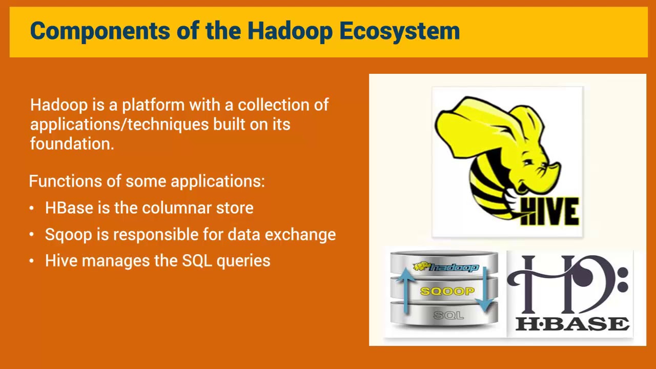 Big Data 101: Hadoop Ecosystem Overview 📊