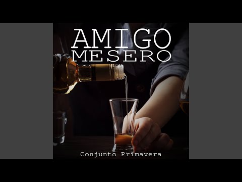 Amigo Mesero