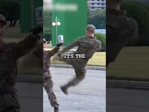 Unveiling North Korea's Military Secrets 🇰🇵