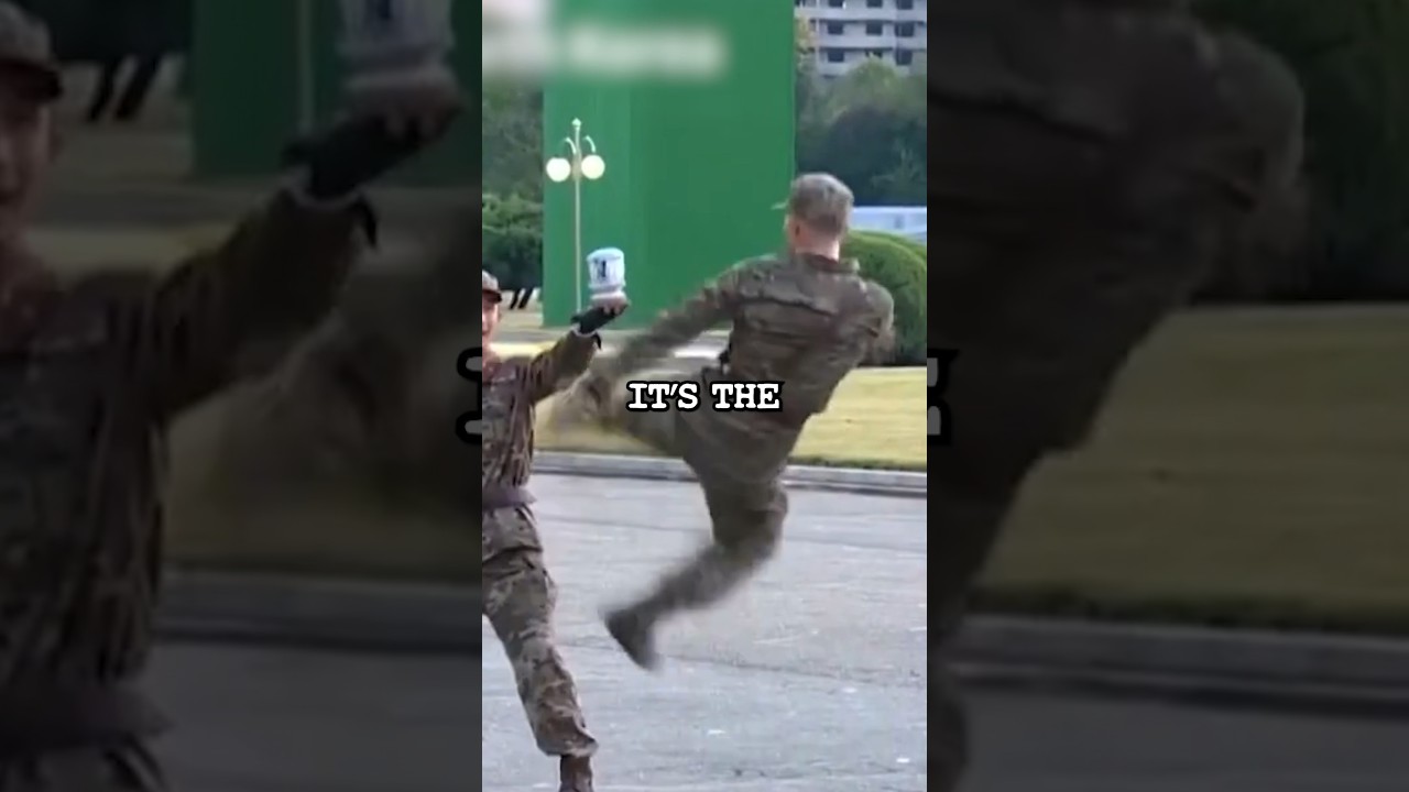 Unveiling North Korea's Military Secrets 🇰🇵