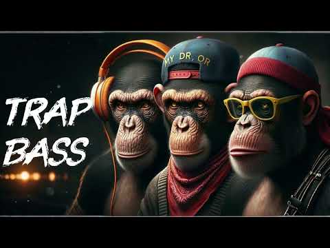 🔥 Best Trap Rap Bass Boosted | Free Type Beats 2025 for Gym, Car, Gaming, Workout & Speaker Test 🔊
