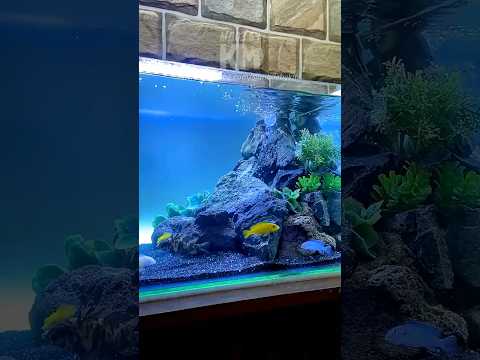 DIY Underwater Sand Waterfall Aquarium Setup!