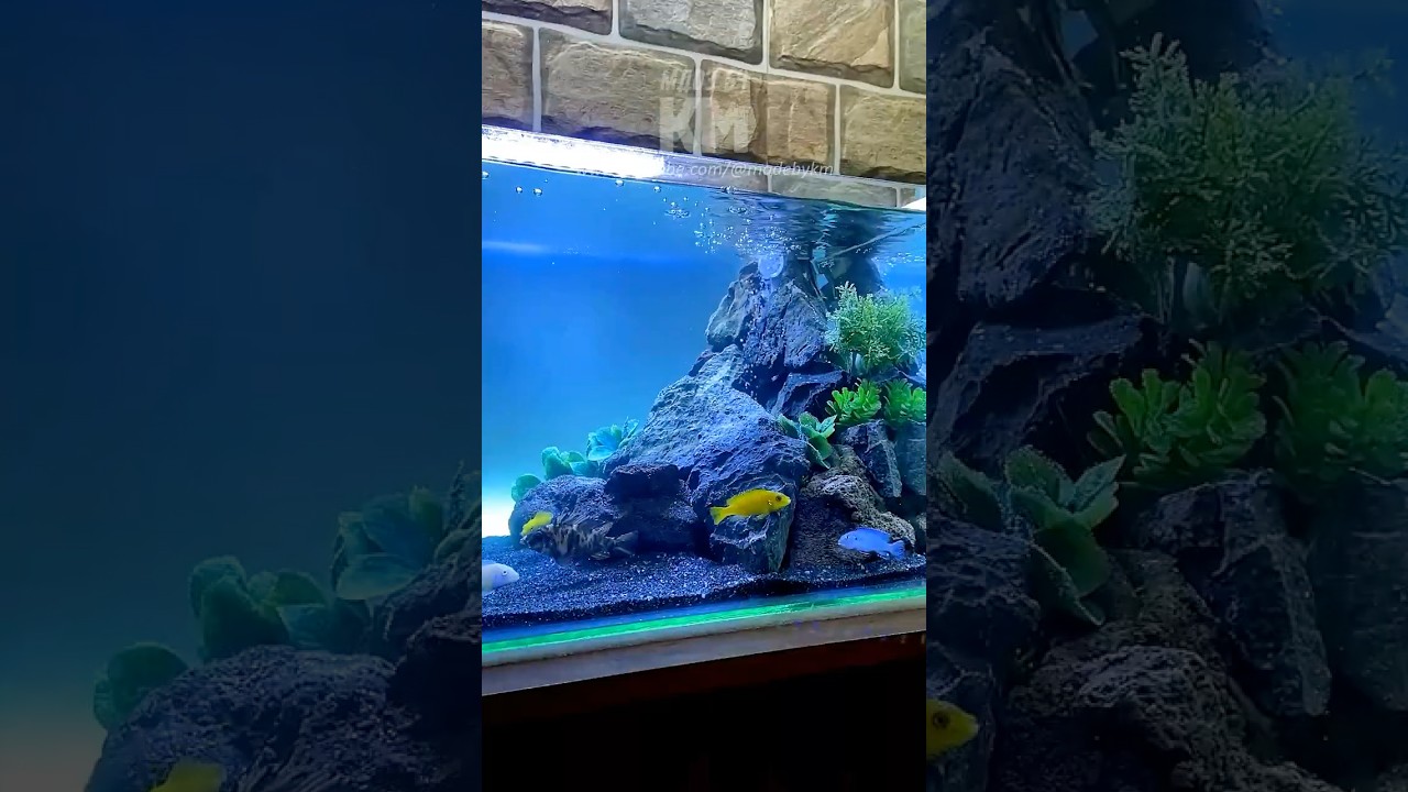 DIY Underwater Sand Waterfall Aquarium Setup 🌊