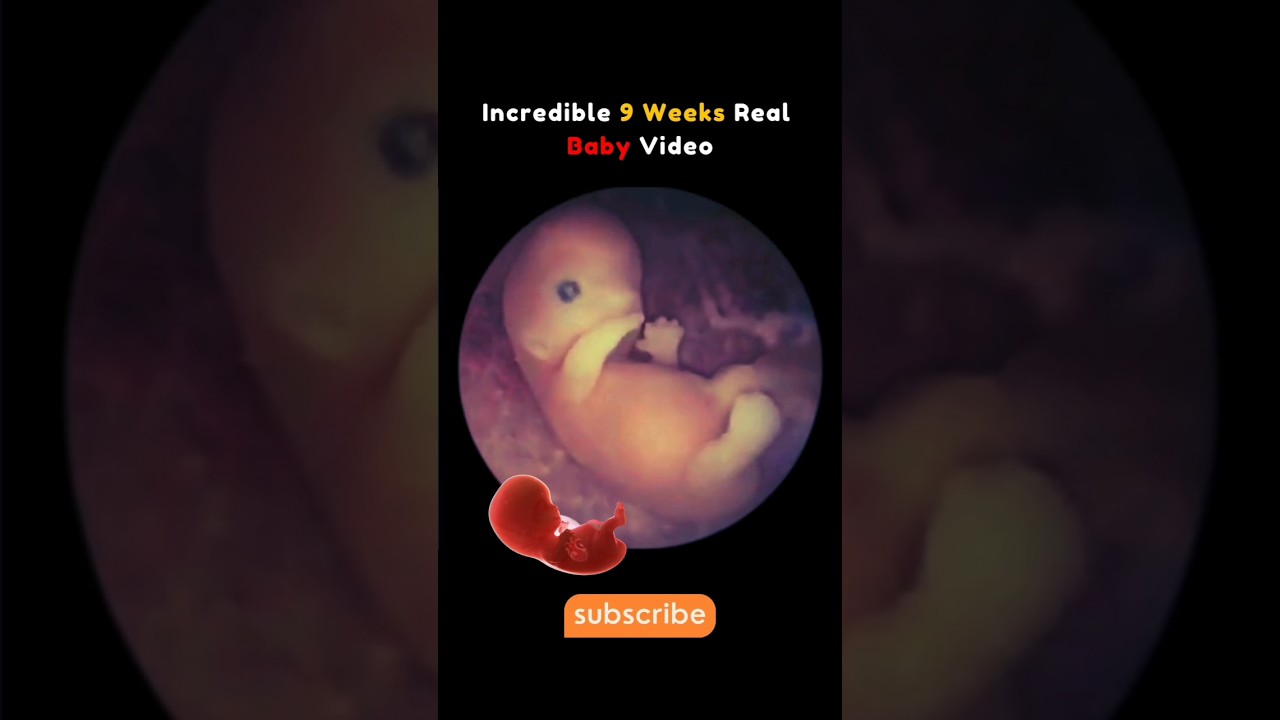 9-Week Baby in Womb Video 😍