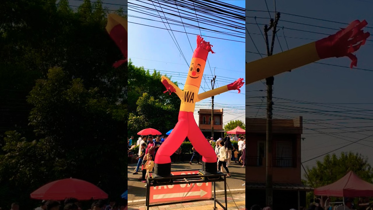 Reggae Morning Vibes 🎶 #takgendong #shorts