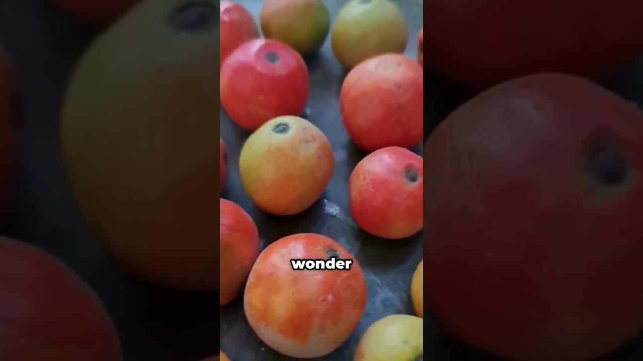 Top 5 Most Amazing Fruits Found in the Amazon Rainforest