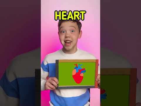 β¨ FUN Organs Learning With DINOSAUR BODY π¦ #kids #learn