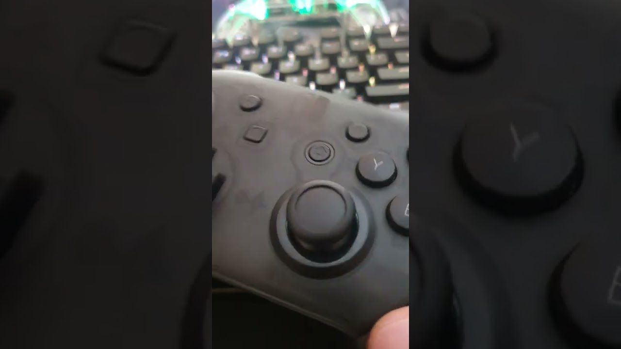 Hidden Easter Egg in Switch Pro Controller 🎮