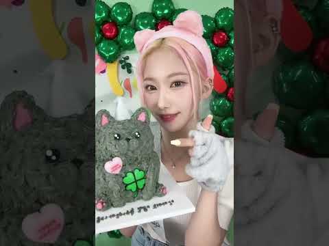 Happy Cat Andamiro's Birthday 🐱🍀🎉 #지니어스 #Geenius #안다미로 #アンダミロ