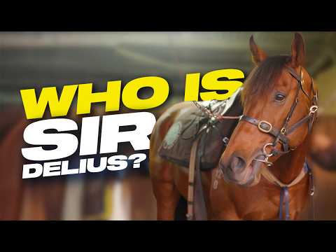 Who is Sir Delius and will he win the Melbourne Cup? | Episode 1 | Melbourne Cup Dreaming...