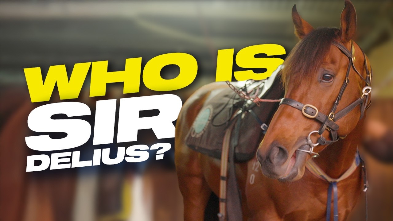 Meet Sir Delius: The Horse Gai Waterhouse Believes Will Win the Melbourne Cup 🏆