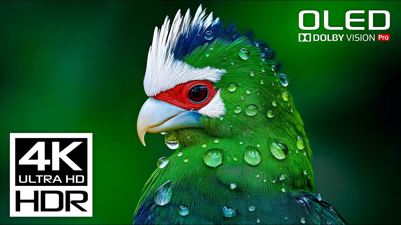 Special 4K Ultra HD Dolby Vision HDR Video with Meditation and Relaxing Music