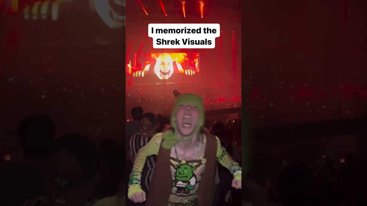 Shrek Visuals for EDM & Dubstep Sets 🎶