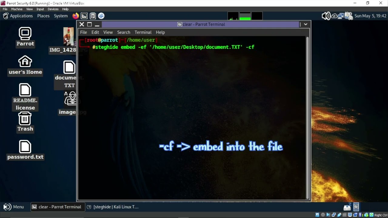 Steganography Tools: Hidee & Steghide on Kali Linux 🔐