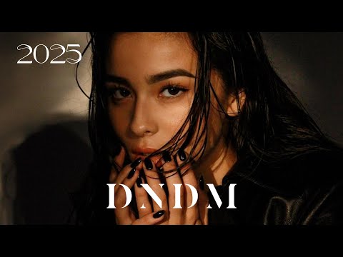 DNDM - Fake Love (2025) || Original Mix