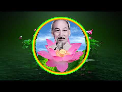 Giới thiệu tác phẩm: Búp sen xanh