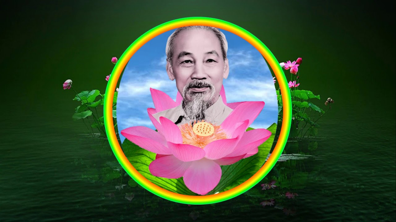 Khám Phá Búp Sen Xanh - Tác Phẩm Đưa Bạn Vào Thế Giới Thiên Nhiên Tươi Đẹp