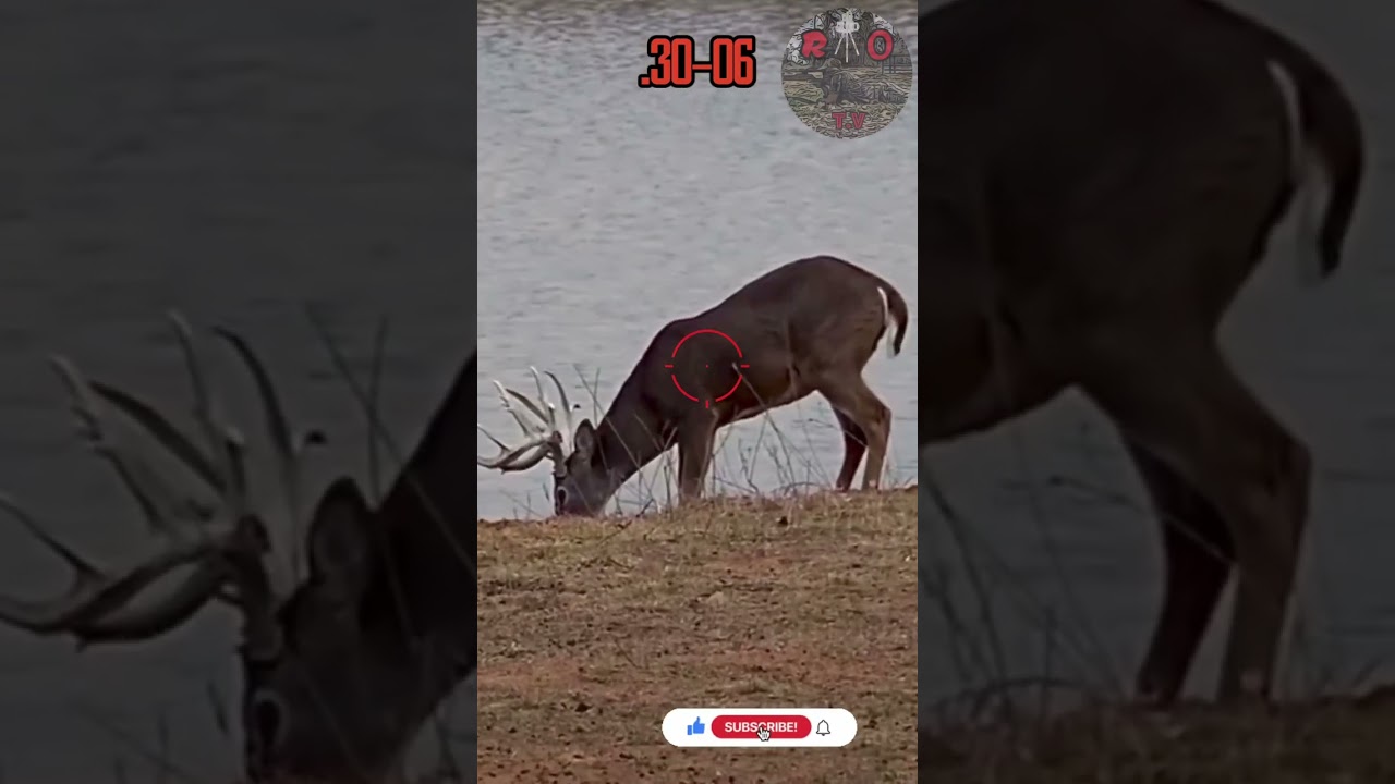 .30-06 Deer Hunting Punches 💥