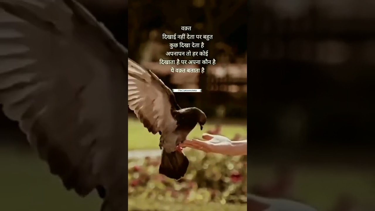 Life Ways Status: Sad, Motivational & Success Quotes 💯