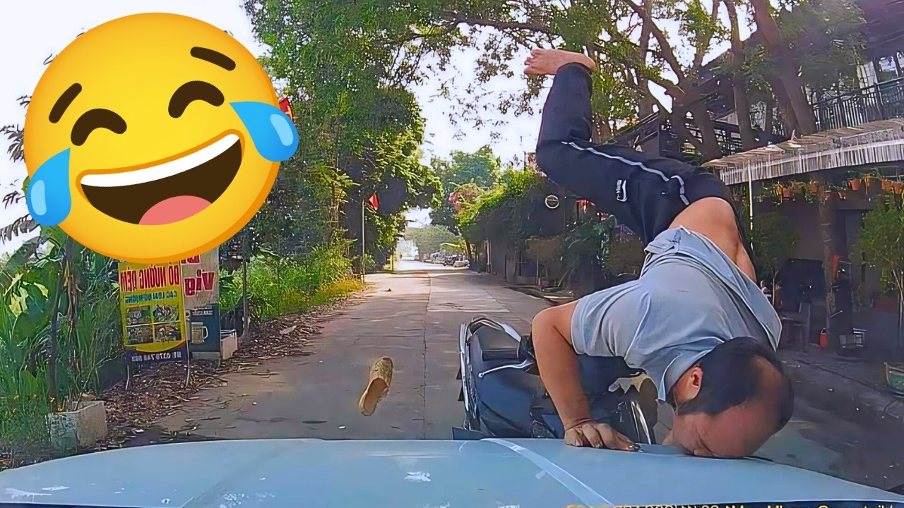 Video Lucu 2025: Momen Kocak & Konyol Bikin Ngakak 😂