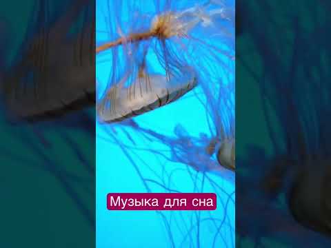 Музыка для сна