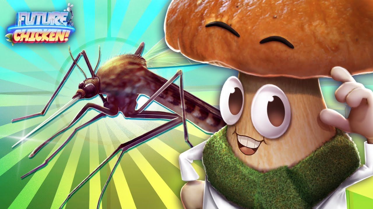 Ouch-Free Needles Inspired by Mosquito Bites 🦟