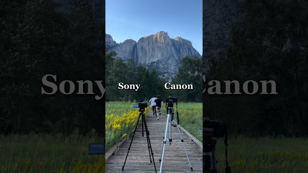 Sony vs Canon Camera Showdown ๐ธ