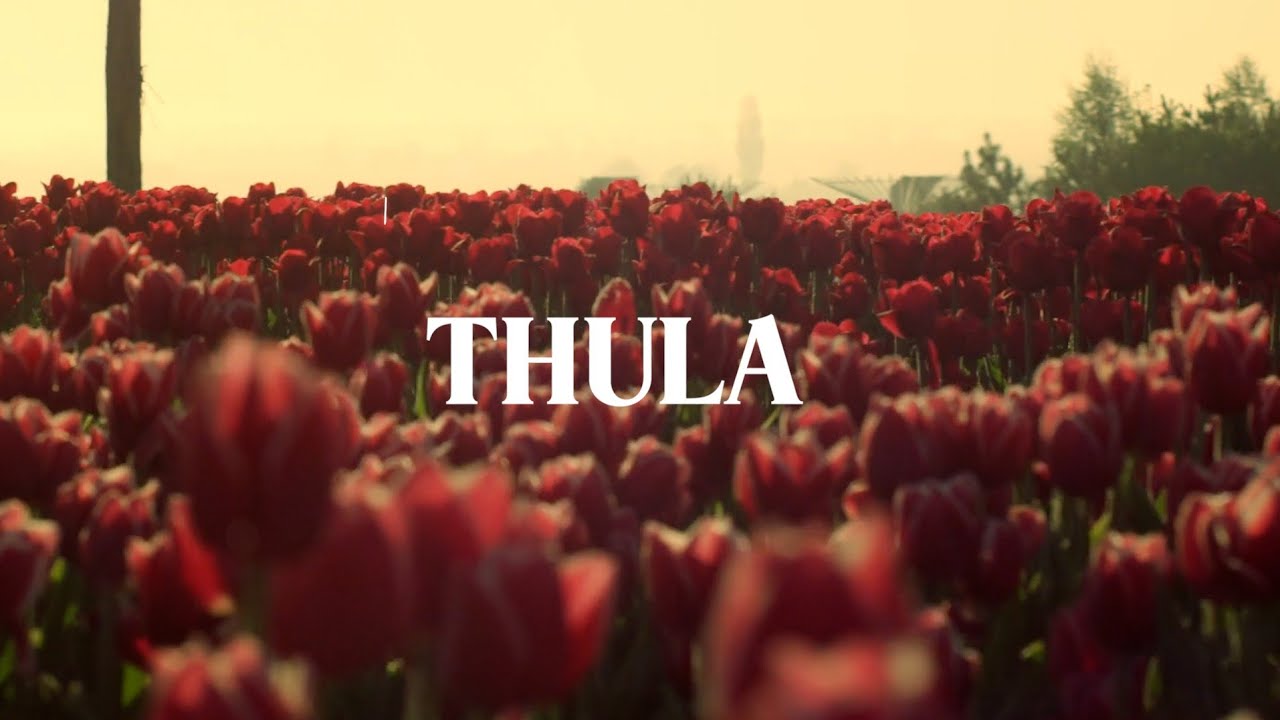Thula 🎶 Lowsheen & Master KG Official Lyric Video