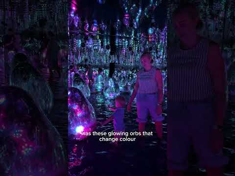 Inside the World’s Most Immersive Digital Art: teamLab Phenomena Abu Dhabi