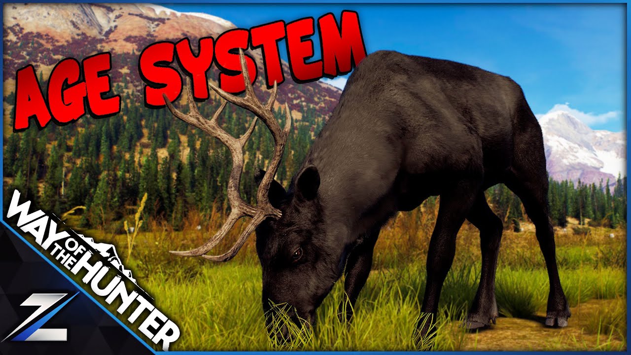 Master the Age System for More 5-Star Trophies 🎯