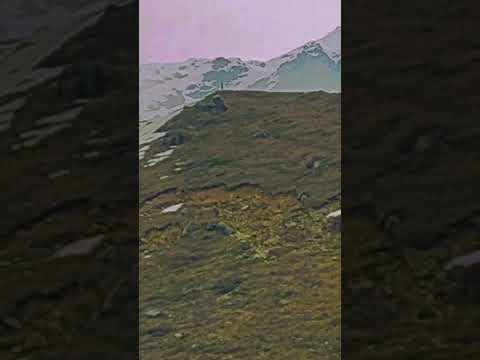 Darhan hue bhale baba kedarnath me....